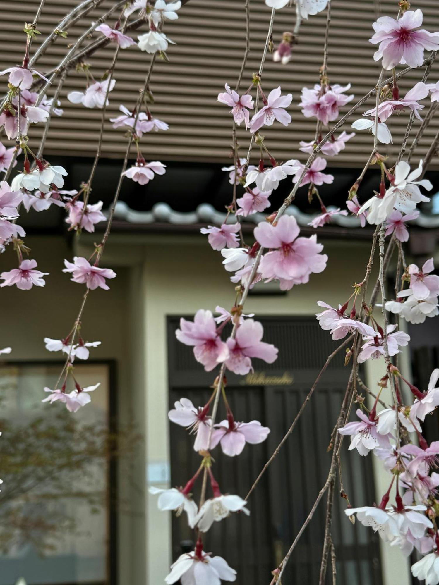 京都 三日月 Mikazuki Exterior photo